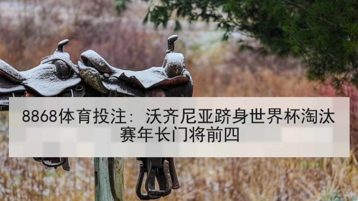 8868体育投注: 沃齐尼亚跻身世界杯淘汰赛年长门将前四