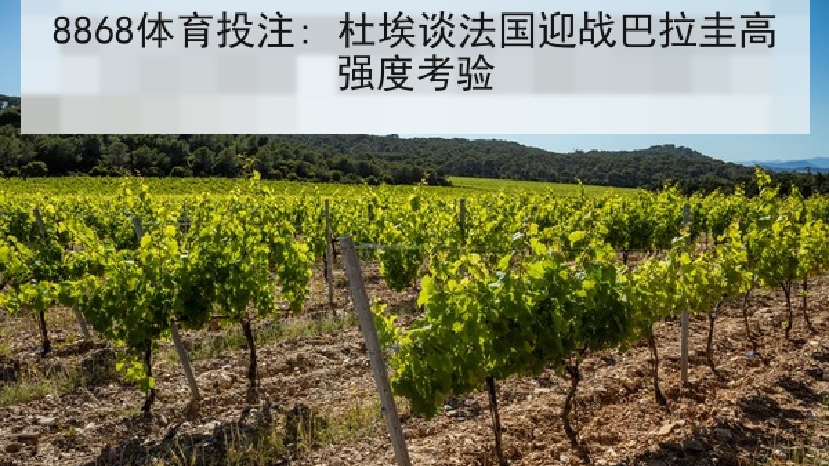 8868体育投注: 杜埃谈法国迎战巴拉圭高强度考验