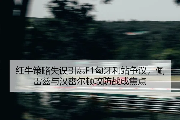 hong-niu-ce-lve-shi-wu-yin-bao-xiong-ya-li-zhan-zheng-yi-pei-lei-zi-yu-han-mi-er-dun-gong-fang-zhan-cheng-jiao-dian-2-309.jpg