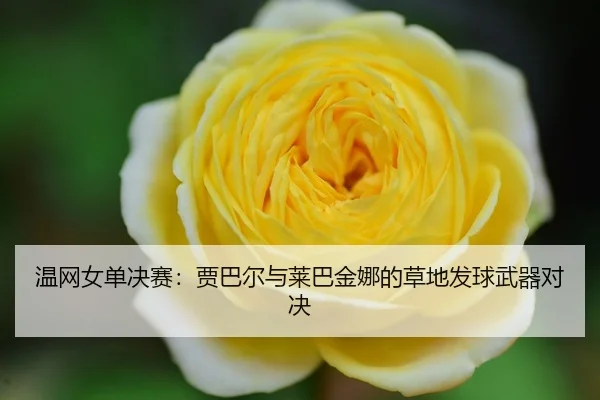 wen-wang-nv-dan-jue-sai-jia-ba-er-yu-lai-ba-jin-na-de-cao-di-fa-qiu-wu-qi-dui-jue-3-162.jpg