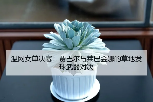 温网女单决赛：贾巴尔与莱巴金娜的草地发球武器对决