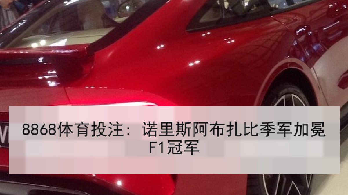 8868体育投注: 诺里斯阿布扎比季军加冕F1冠军