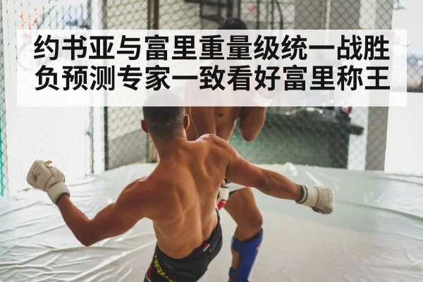 约书亚与富里重量级统一战胜负预测专家一致看好富里称王